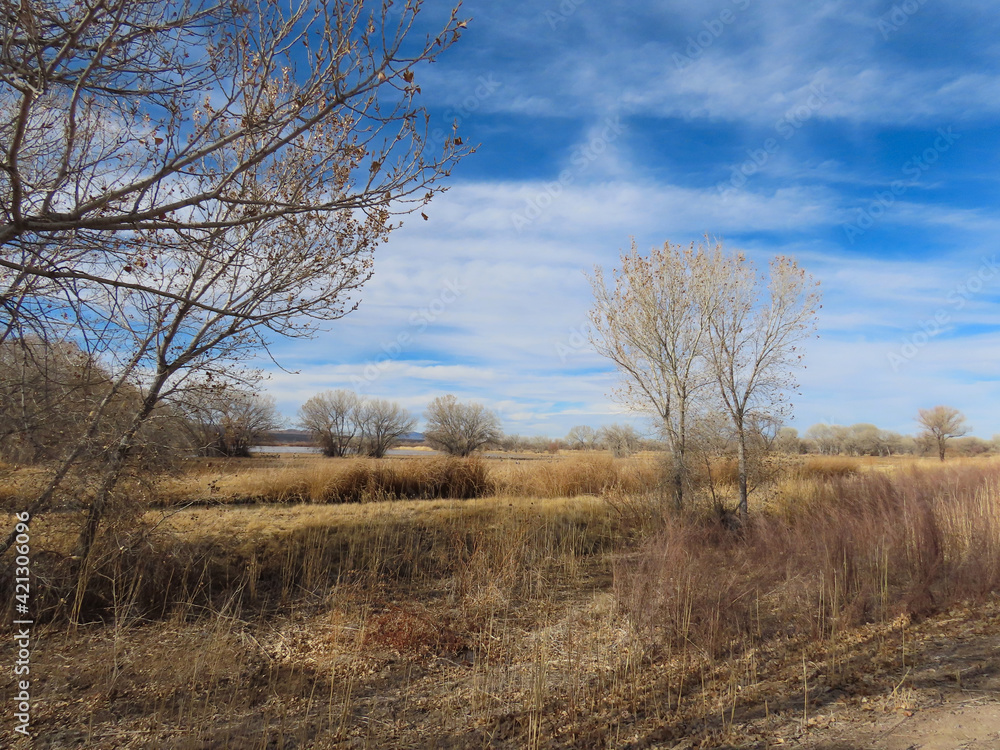 Scenic views of Bosque del Apache National Wildlife Refuge in Socorro County, New Mexico Scenic views of Bosque del Apache National Wildlife Refuge in Socorro County, New Mexico