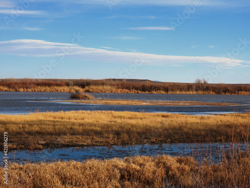 Scenic views of Bosque del Apache National Wildlife Refuge in Socorro County, New Mexico