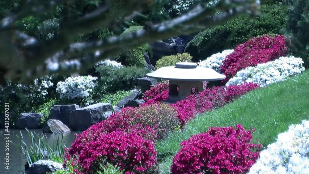 Japanese Snow Lantern yukimi Doro And Azalea Bushes In Bloom japanese-snow-lantern-yukimi-doro-and-azalea-bushes-in-bloom