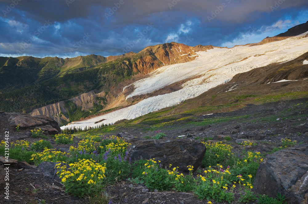 USA, Washington State. Bastille Ridge and Coleman Glacier from meadows of Heliotrope Ridge, Mount Baker Wilderness, North Cascades.