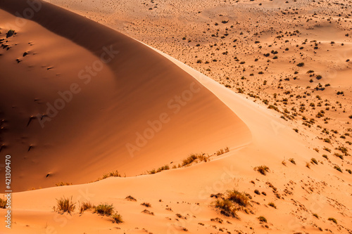 sand dune ridge