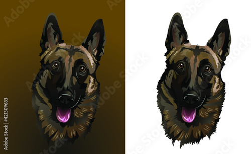 Portrait of a Belgian Shepherd for the logo 
Set for logo and chevron  
Surprised funny dog of the malinois breed

