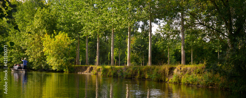Panoramique embarqué sur l'eau du Marais-Poitevin bordée de peupliers, département de Vendée en région Pays de la Loire, France