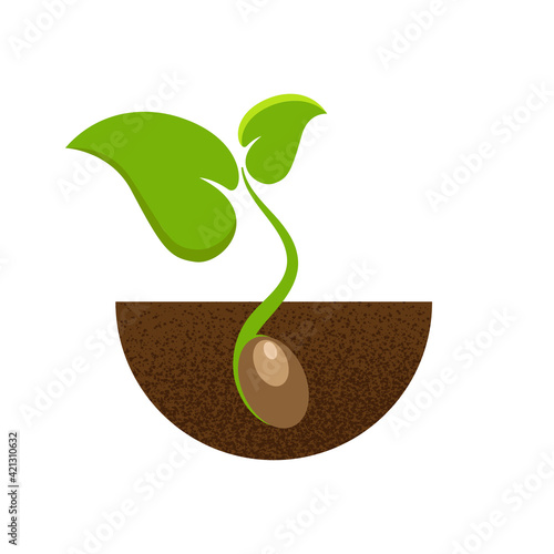 Sprouting seed on white background. Green cartoon sprout in brown soil. Logo, icon, sign, symbol concept design. Vector illustration.
