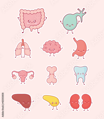 cute human organs