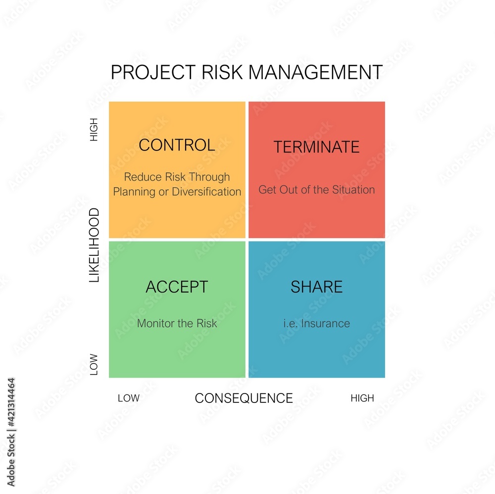 A Matrix describing different project risk mitigation strategies