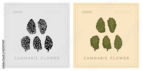 Cannabis Marijuana Bud Full Flower illustration