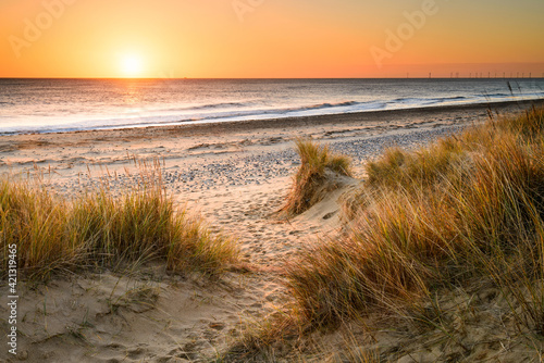 Obraz na plátne A sandy winding path weaves through the sand dunes and towards the sea on the Norfolk Coast at Winterton on Sea as the early morning sun rises above the horizon