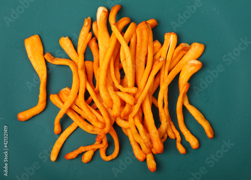 fresh cordyceps mushroom on white background.