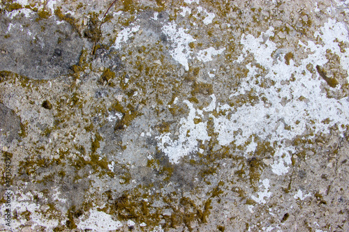 Background image. Wall texture.