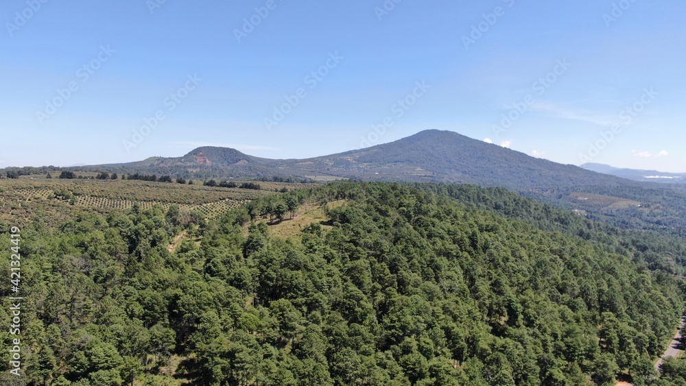 Obraz premium default