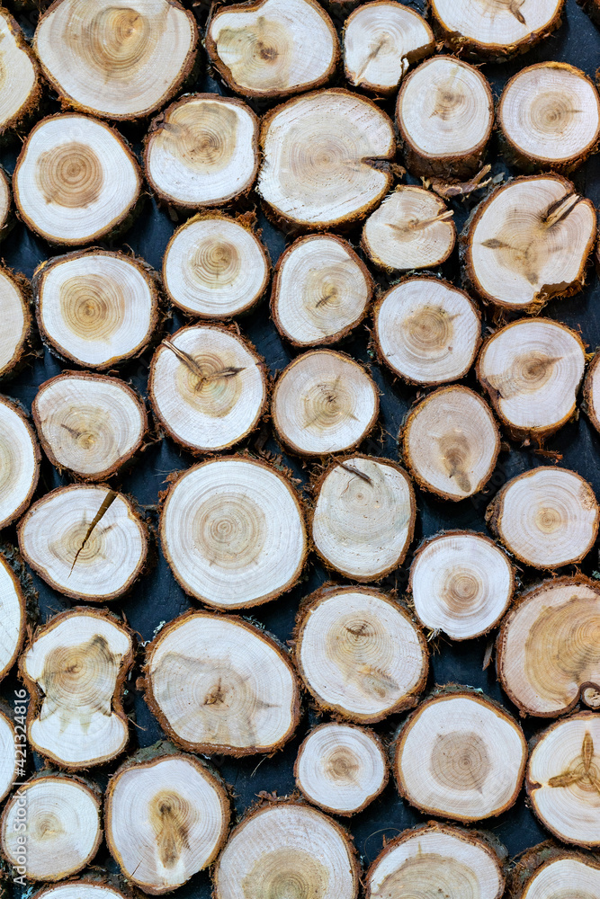 Round wood texture. The wall is faced with untreated wood. Round wood texture. The wall is faced with untreated wood.