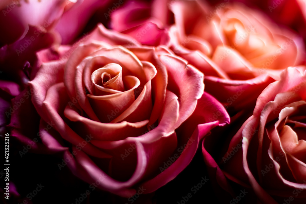Roses Roses