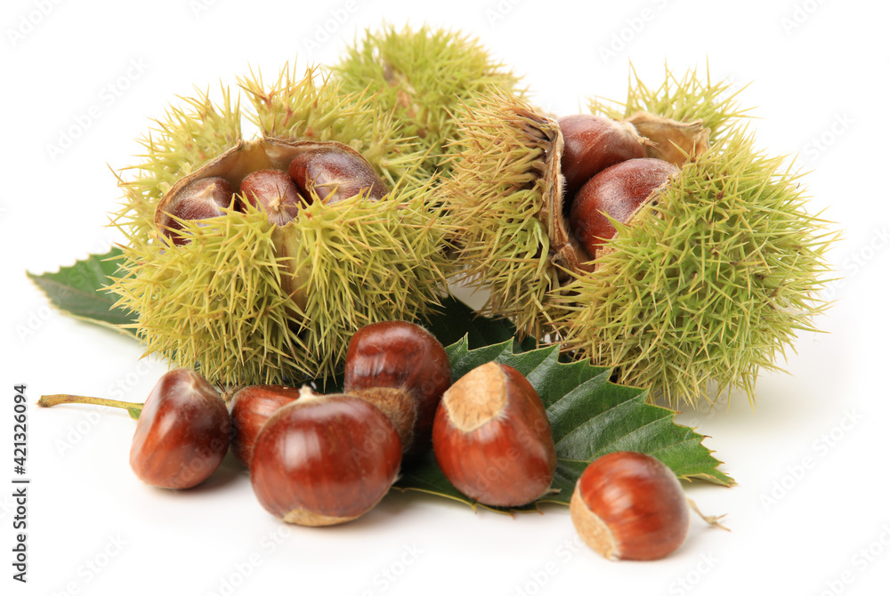 Fresh chestnut with leaf on white background. Fresh chestnut with leaf on white background.