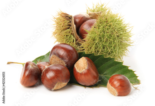 Fresh chestnut with leaf on white background.
