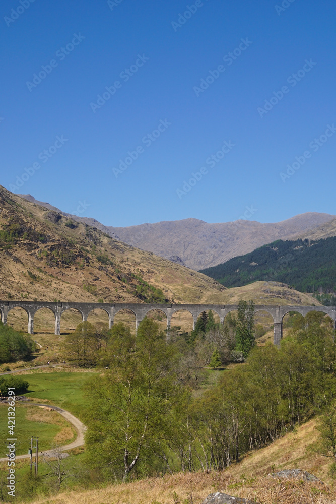 Obraz premium The Glenfinnan Viaduct in the Scottish highlands