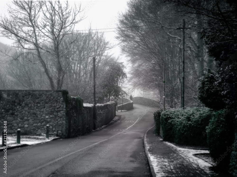 Obraz premium Picturesque Snowy Lane with Ancient Irish Stonework Walls and bare forest