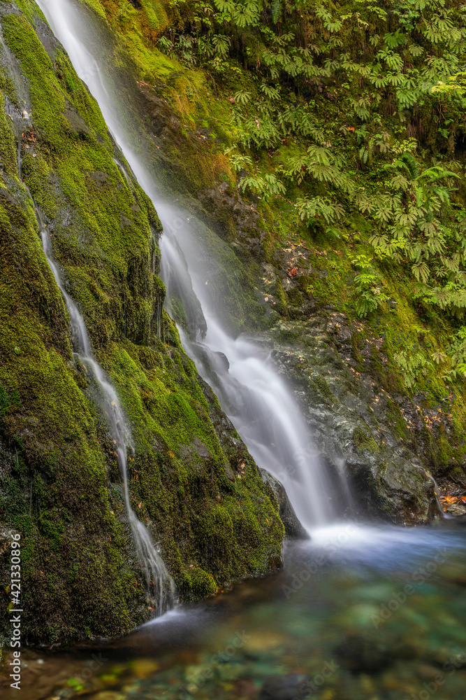 USA, Washington State, Olympic National Park. Madison Falls and pool. USA, Washington State, Olympic National Park. Madison Falls and pool.