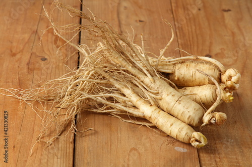  korean wild ginseng  
