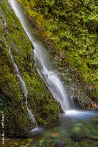 USA, Washington State, Olympic National Park. Madison Falls and pool.