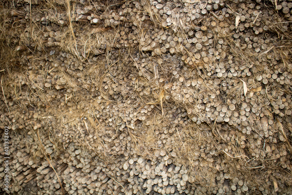 Image of dried jute sticks arranged in piles. A beautiful jute background texture. Image of dried jute sticks arranged in piles. A beautiful jute background texture.