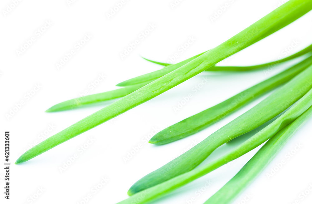 Fresh green chives isolated on a white background
Fresh green chives isolated on a white background