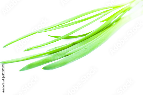 Fresh green chives isolated on a white background

