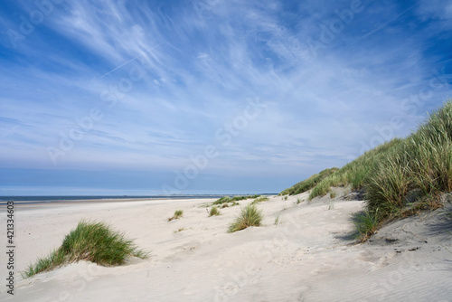 Weite Sicht am Sandstrand mit D  ne und D  nengras auf der Insel Baltrum