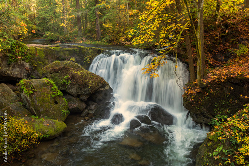 USA, Washington State, Whatcom Falls Park. Waterfall and fall colors.