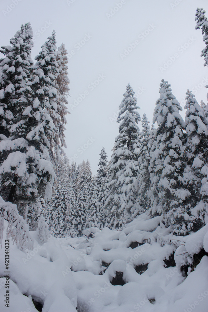 Paisaje de montaña en estacion de invierrno. Con mucha nieve