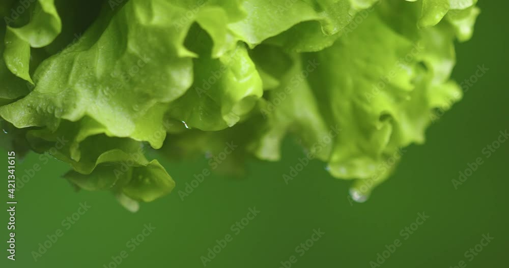 Green rotating lettuce leaves on green background. Vitamins, healthy eating dieting concept. Close up video Green rotating lettuce leaves on green background. Vitamins, healthy eating dieting concept. Close up video