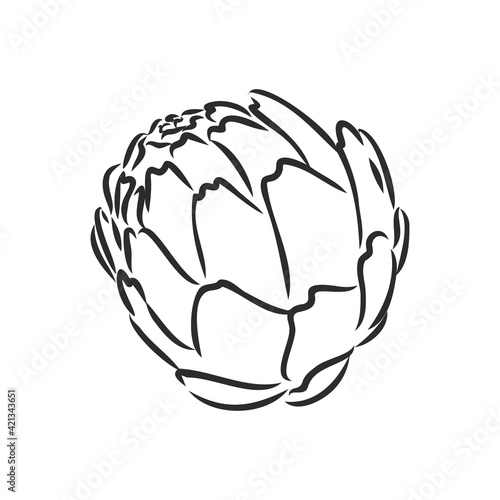 vector set of engraving illustration green vegetables artichoke on white background