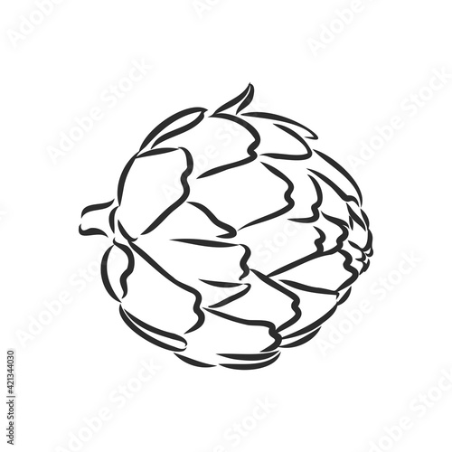 vector set of engraving illustration green vegetables artichoke on white background