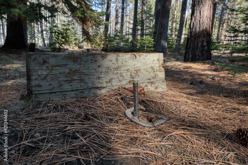Horseshoe pit in the forest