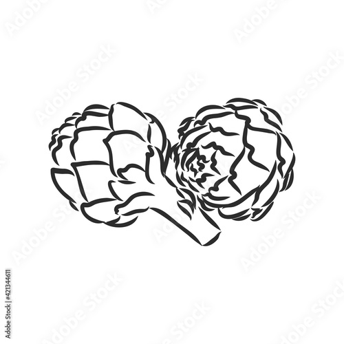 vector set of engraving illustration green vegetables artichoke on white background