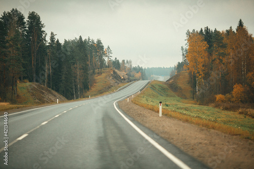 road in autumn forest © Ekaterina Bakuta