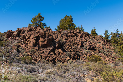 Paisaje de un risco grande con dos Pinos detrás en el Parque Nacional del Teide 