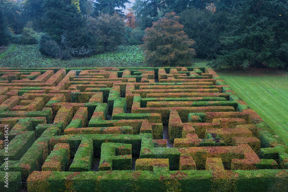 The beech maze at Traquair House, Innerleithen, Scottish Borders, UK	