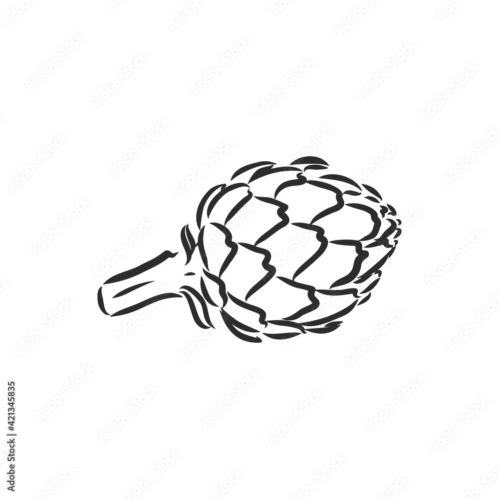 vector set of engraving illustration green vegetables artichoke on white background vector set of engraving illustration green vegetables artichoke on white background