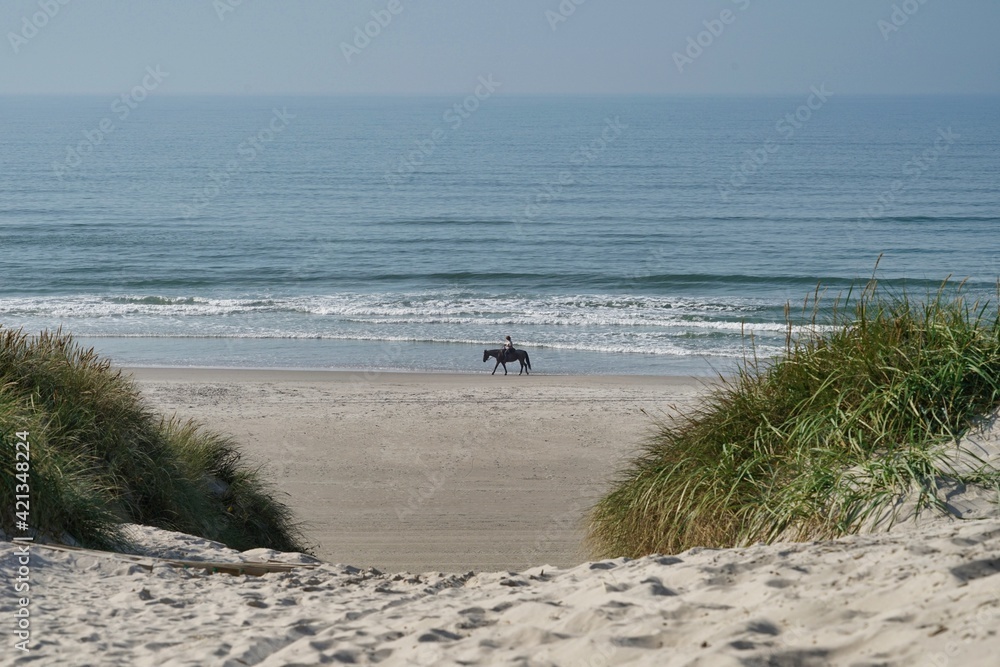 way to beach view from dune, horse riders in far edi