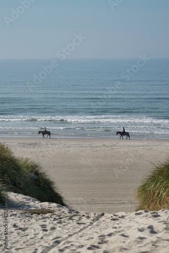 way to beach view from dune, horse riders in far edi