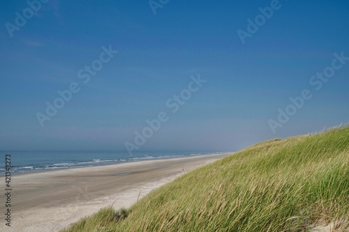 Henne beach with ocean, dune and horizon on sunny day