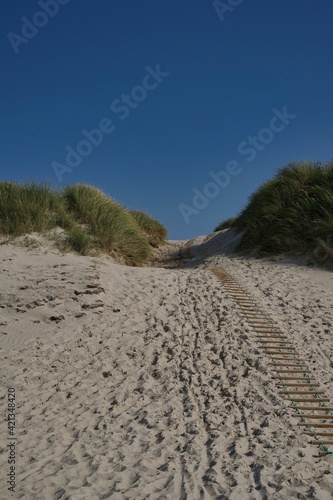path from beach into dunes  wooden ladder on sunny day