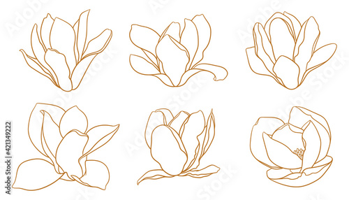 Set of magnolia flowers, thin line drawing on white background. Floral vector sketch in gold color, trendy style. Minimalist art. Illustration for wedding invitation, greeting card, coloring book.