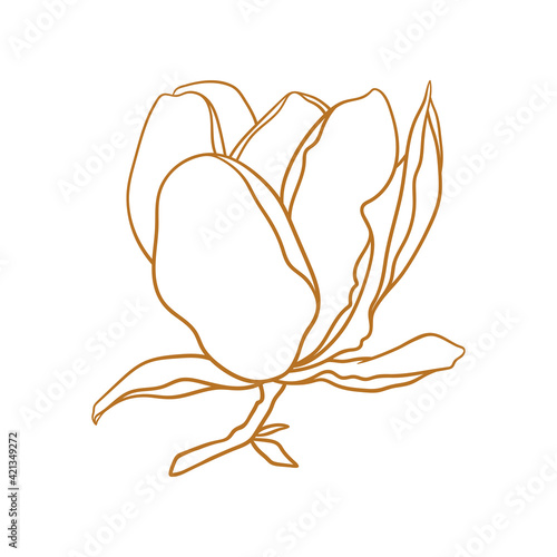 Magnolia flower with branch, thin line drawing on white background. Floral vector sketch in gold color, trendy style. Minimalist art. Illustration for wedding invitation, greeting card, coloring book.