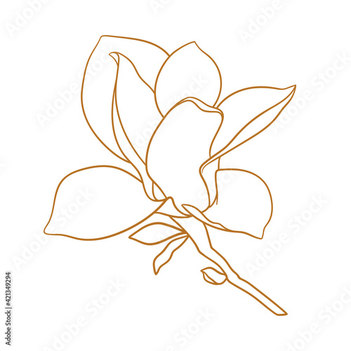 Magnolia flower with branch, thin line drawing on white background. Floral vector sketch in gold color, trendy style. Minimalist art. Illustration for wedding invitation, greeting card, coloring book.
