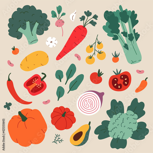 Vegetable food illustration, modern drawing of broccoli, cauliflower and celery, healthy eating cooking ingredients, vector cliparts
