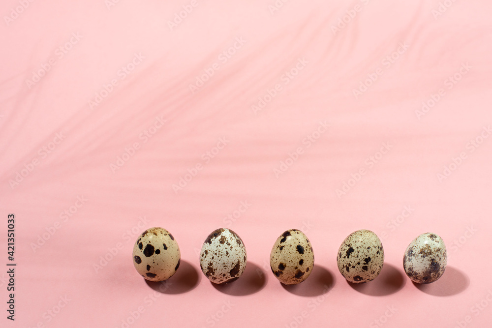 Quail eggs in a row on pink background with palm leaf shadow. Quail eggs in a row on pink background with palm leaf shadow.