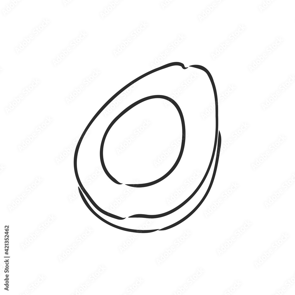 Avocado. Contour illustration. Exotic fruit in woodcut style. Isolated vector on white background. Avocado. Contour illustration. Exotic fruit in woodcut style. Isolated vector on white background.