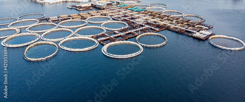 Salmon fish farm aquaculture blue water. Aerial top view